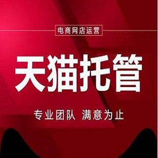 天貓代運營