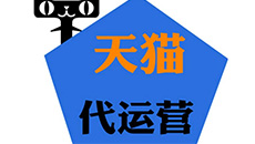 天貓代運營服務-為產(chǎn)品代言，就找豆丁褒